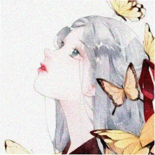 访客白鸟的头像